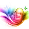 First Time Pregnancy 2.8
