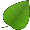 Wine Dictionary 1.0.4