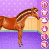 Horse Care and Riding 1.1.5