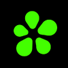 ICQ: Мессенджер для групповых чатов и видеозвонков 23.1.1(10011564)