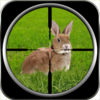 Игра -  US Rabbit Killer Assassin