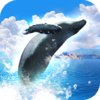 REAL WHALES Find the cetacean. 1.0.7