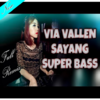 Приложение -  Via Vallen DJ Sayang Remix