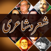 Приложение -  Urdu Shero Shayari