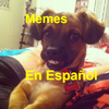 Memes en español 3.1