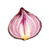 Приложение -  Поисковая система Onion Search Engine