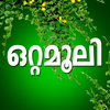 Ottamoolikal Malayalam 1.23