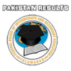 Приложение -  Pakistan Results