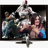 Pakistani TV Channels Live HD 1.0