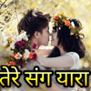 Приложение -  New Hindi Shayari, Status, Dp - तेरे संग यारा