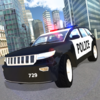 Police Car Driving 3D 1.00