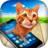 Cat in Phone Prank 1.2