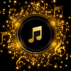 Pi Music Player 3.1.5.6_release_1