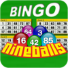 Nine Balls Video Bingo 2.12