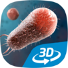 Bacteria VR 3D 1.21