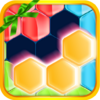 Block Hexa 1.1.2