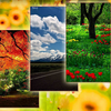 Nature Wallpapers 1 2.8