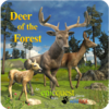 Игра -  Deer of the Forest