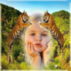 Приложение -  Wildlife Animal Photo Frames