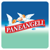 Приложение -  Ricettario PANEANGELI