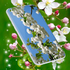 3D Blossoms Live Wallpaper 6.9.38