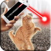 Приложение -  Лазер для кошки