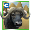 Buffalo Wild Bull Simulator 1.1