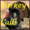 Turkey Calls HD 1.82