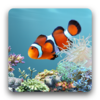 aniPet Aquarium LiveWallpaper 2.3.11
