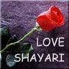 Hindi Love Shayari 3.1