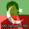PTI Flag Face Photos & Slogans 1.3