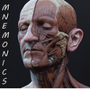 Medical Mnemonics 3.1.1.49