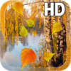 Приложение -  Осень Живые Обои HD