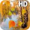 Осень Живые Обои HD 1.0