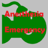 Приложение -  Anesthesia Emergency