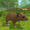 Игра -  Симулятор Мыши