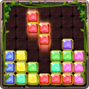 1010 Block Puzzle Free 1.4