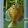 Fishing 3D 1.4.6