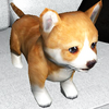 Cute Puppy Sim 1.1