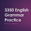 3350+ English Grammar Practice 2.4