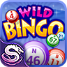 Wild Bingo – лото и автоматы 1.82