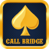 Call Bridge Card Game 1.0.5