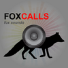 Fox Hunting Call-Fox Calls 1.2