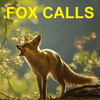 Predator Calls -Fox Hunting AU 1.2