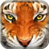 Tiger Simulator 3D Wildlife 1.0.2