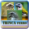 Todos em 1 |Canto Trinca Ferro 1.5